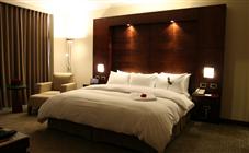 Swiss Executive Room
