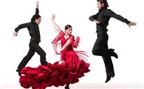Flamenco Festival