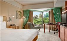 Classic Room With Park View