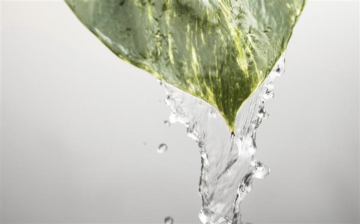 Beyond Heaven Spa Package at Swissotel Sydney