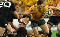 Bledisloe Cup Aus vs NZ