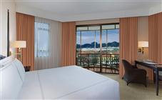 Premier Room