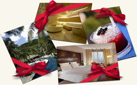 Swissotel Gift Card